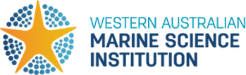 WAMSI logo