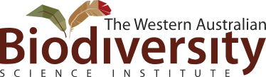 WABSI logo